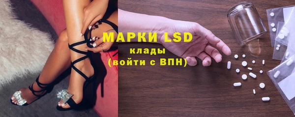 шишки Белоозёрский
