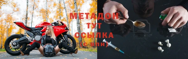 шишки Белоозёрский