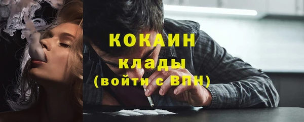 шишки Белоозёрский