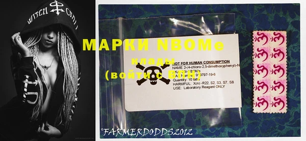 шишки Белоозёрский
