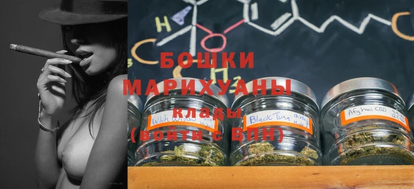 шишки Белоозёрский
