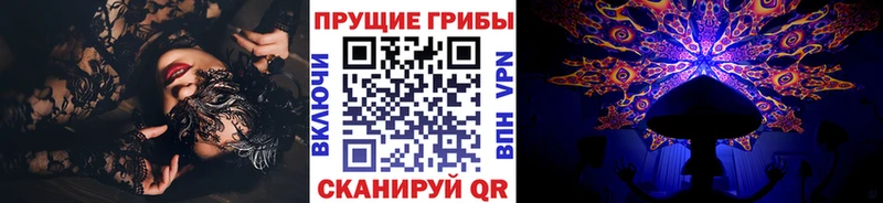 Галлюциногенные грибы мицелий  Чайковский 